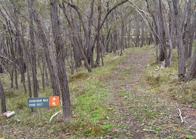 Woodland walking trails.